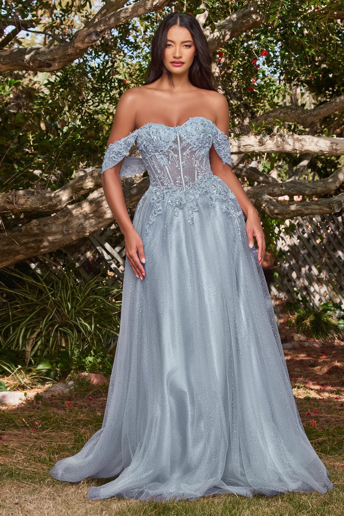 CD24-CD0198 LACE A-LINE GOWN WITH OFF THE SHOULDER SLEEVES