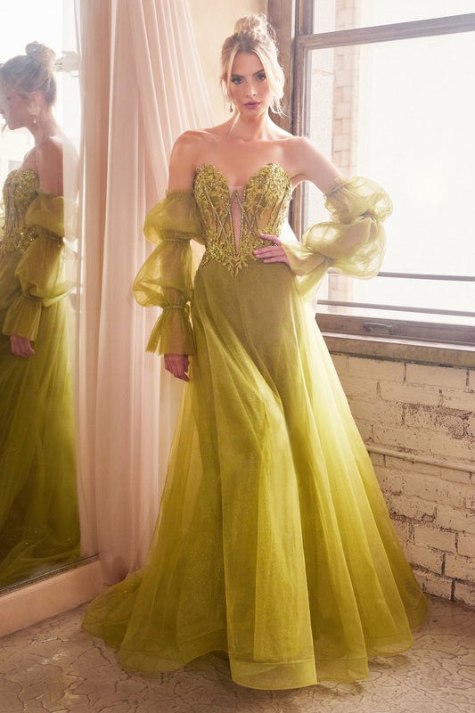 CD24-CD830 STRAPLESS BALL GOWN WITH REMOVABLE SLEEVES